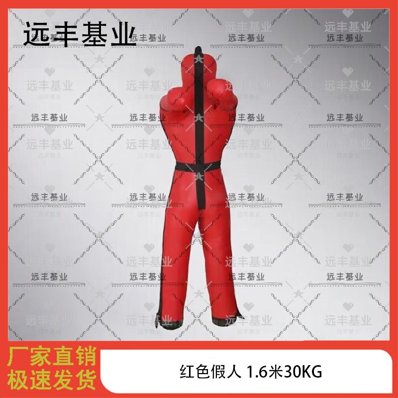 Combat Sports Training Dummy