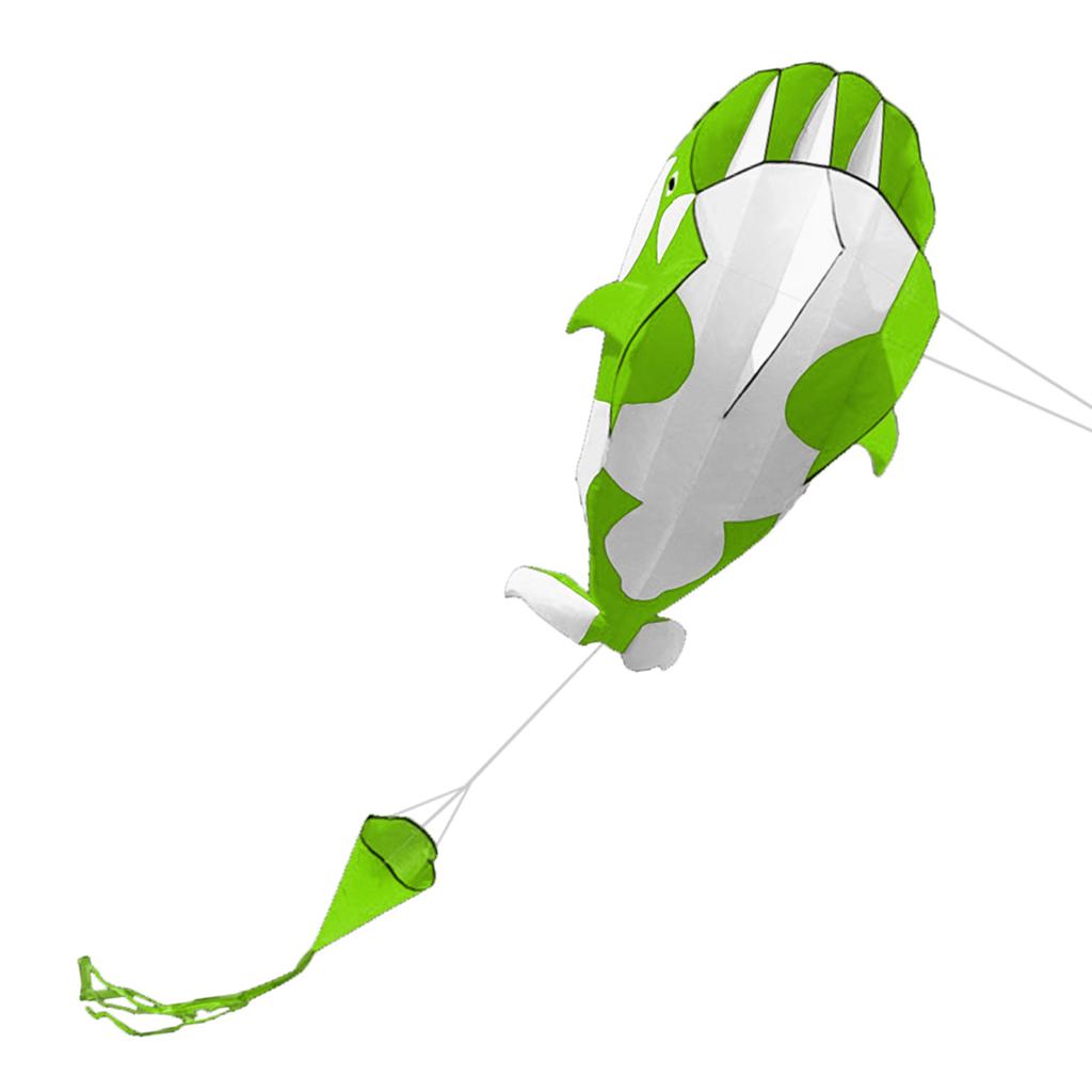 3D Kite Huge Frameless Soft Parafoil Giant Whale Flying Kite Frameless Kite Flying Kite Kite