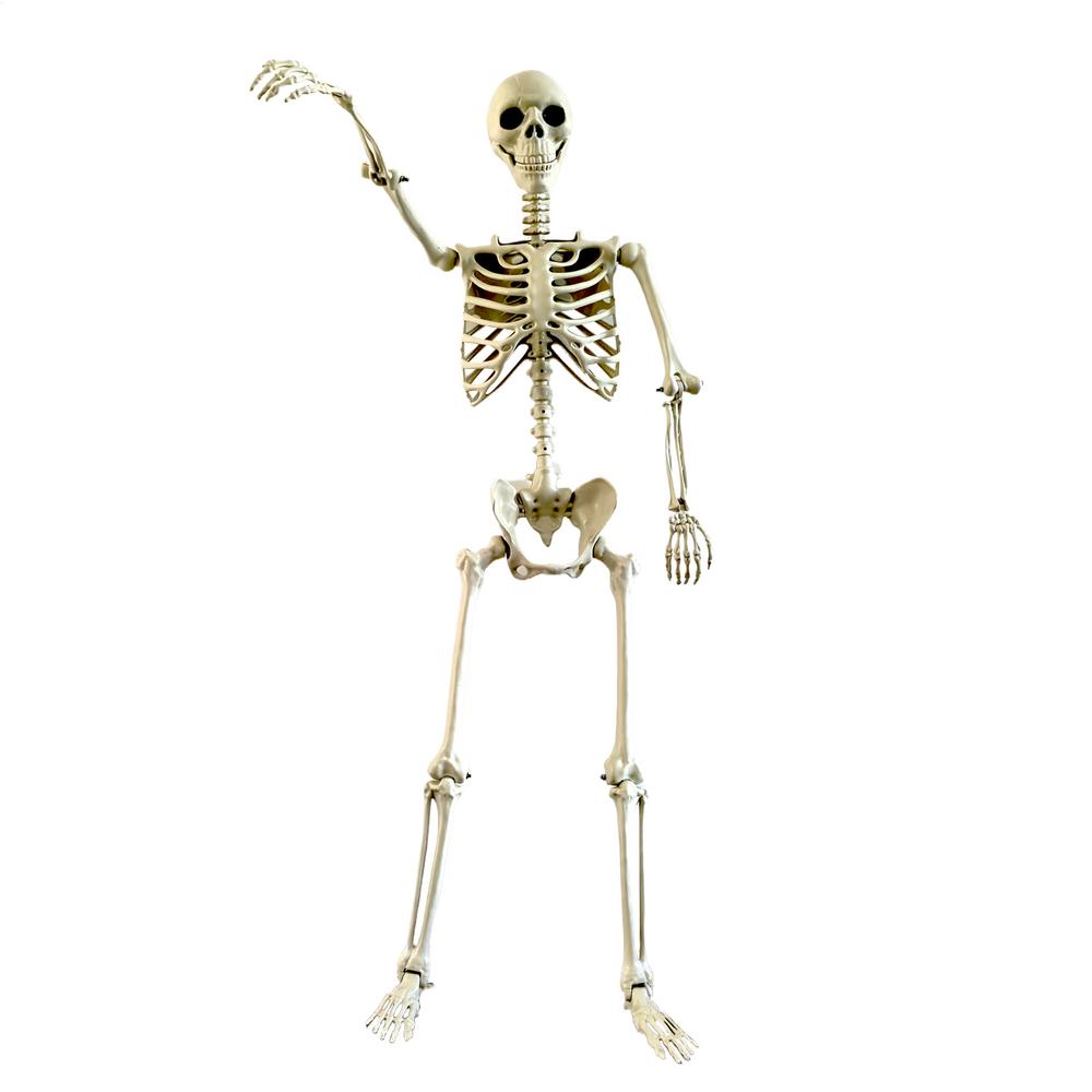 90x24cm Skeleton Halloween Prop Haunted House Hanging Props Halloween Movable Skeleton Halloween Ornament Toys белый