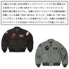 Avirex 6102208 Top Gun Flight Medium CWU-36P VX-31 Jacket, 73SAGE,