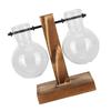 Innovative Planter Vase with Wooden Stand Transparent Glass Hydroponics Vase Desktop DecorationType