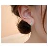 Women Luxury Zircon Leaf Design Elegant Fashion Earrings Jewelry