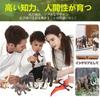 UTST Dinosaurier Spielzeug Mammut Figur Mammut Elefant Dinosaurier Figur Jungen Geschenk von 2 6+ (Set Mammuts)