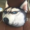 Lovely Funny Doge Plush Pillow 3D Simulation Shiba Inu Cushion Dog Head Pillow