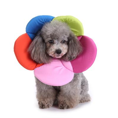 Pet Supplies Protective Collar Collar Dog Protective Cover Flower Protective Collar Pet Beauty Medical Cover