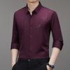 Men Long Sleeve Turn Down Collar Business Casual Wrinkle Free Shirt