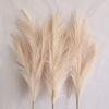 5pcs Extra Large Pampas Grass Stem 120cm Artificial Silk Flower Fluffy Faux Reed Boho Home Wedding Decoration