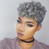 Synthetic Short Afro Curly Wig Old Grey Hair for Black Women Daily Cosplay Halloween Party Use Fluffy and Elastic Hairstyle