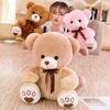 Cuddle Teddy Bear Plush Toy Cartoon Doll Valentine Day Give Female Gift Birthday