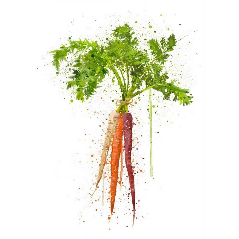 Simple Watercolor Vegetables Botanical Canvas Painting Wall Art Pictures Food Posters Art Prints Living Room Kitchen Home Decor