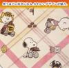 Nishikawa Snoopy Cafe Pattern FQ02505035 Blanket, Single, Washable, Check, Red,