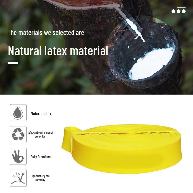 Pantu Fitness Resistance Band