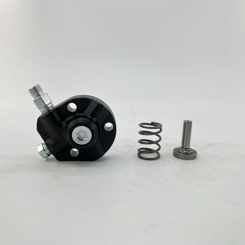 High-Quality Oil Pump Plunger B 294090-0770 Compatible with HP3 High-Pressure Oil Pump 294000-033