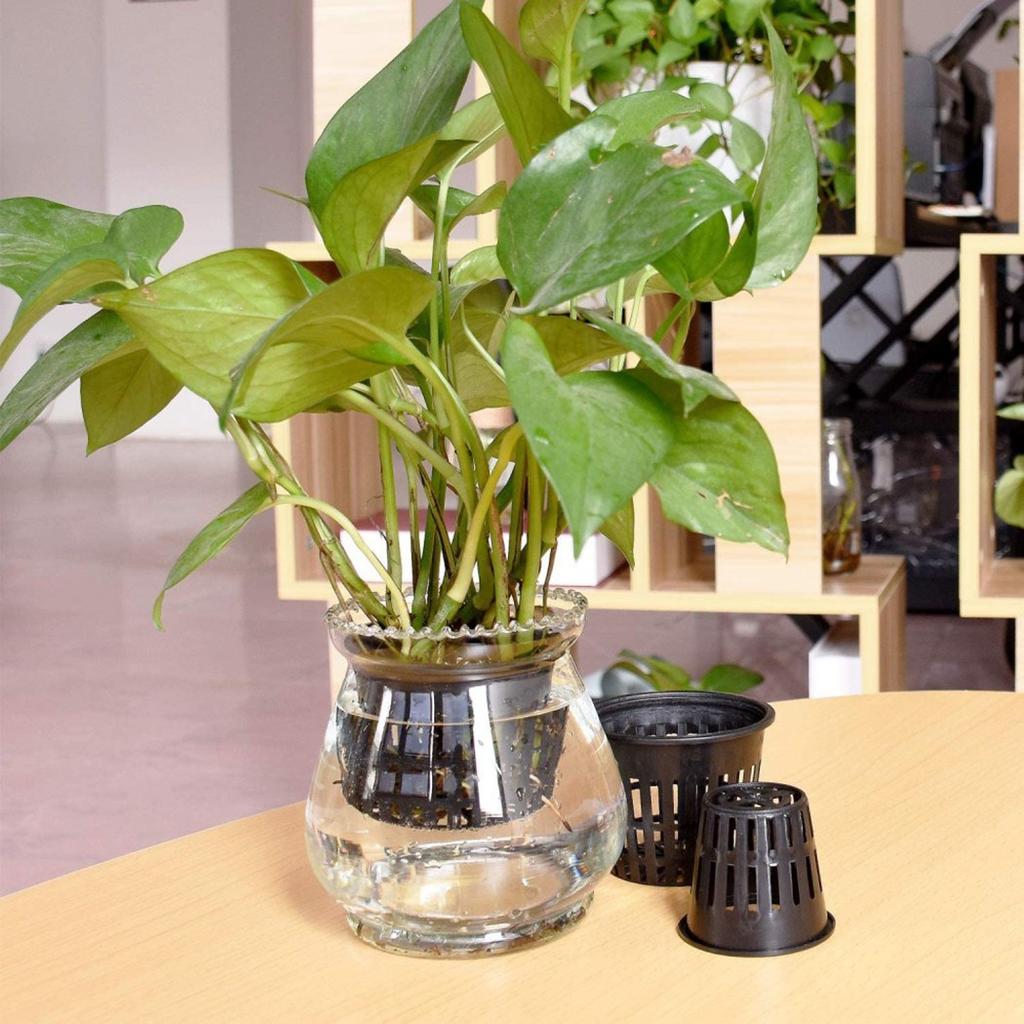25PCS  Pot Net Cup   Containers Garden Plant  Basket