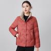 New Short Down Jacket Stand-up Collar Casual Fashion Warm New Chinese Style National Style Middle-aged and Elderly Mother Jacket