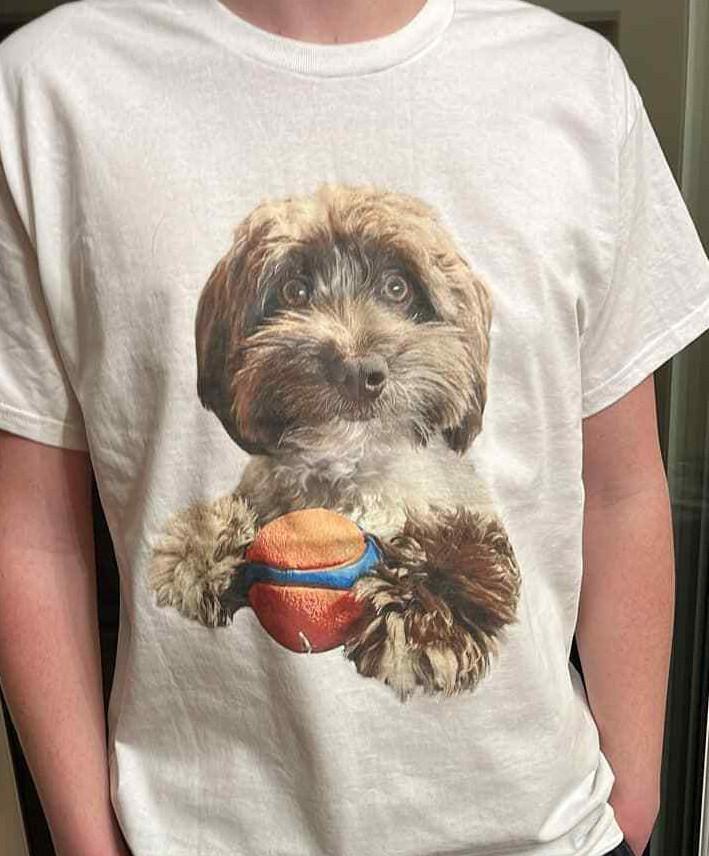 

Dog Lover T shirt tee Brown Havanese Maltese puppy animal 3XL
