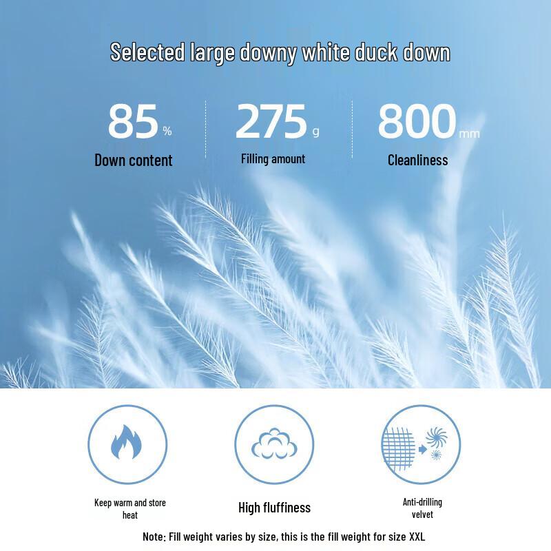 Camel Men's Hooded Short Down Jacket