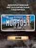 Voronezh Russia Souvenir License Plate 15x30cm, Metal Car Decor Gift