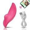 APP Bluetooth Sucking Vibrator Female Wearable Clit Sucker Clitoris Stimulator 2 In 1 Adult Goods Sex Toy for Women 's Panties