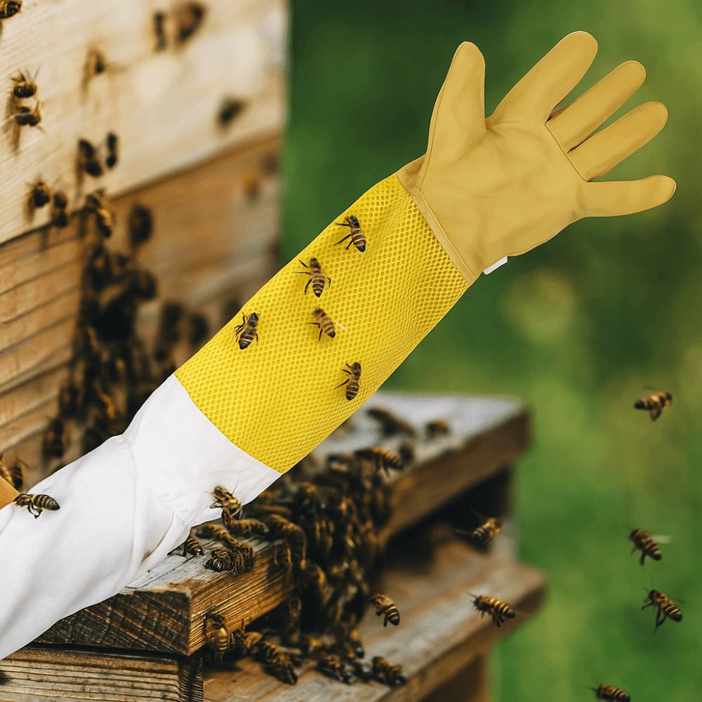 Atmungsaktive Netz-Bienenstockhandschuhe Leder Belüftete Handschuhe Langärmelige Handschuhe Professionelle Anwendung