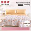 Hengyuanxiang Lightweight Washable Summer Duvet