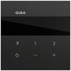 Встраиваемое Радио Gira IP System 70 Черный Matt