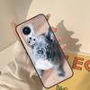French Bulldog Dog Case For Huawei Honor X8a X8 X7 X9a 50 70 90 Magic5 Lite P40 P20 P30 P60 Pro P Smart Cover