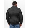 PITBULL NAYLOR Transitional Jacket