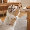 Scratching with Toy for Indoor Cats, Climbing and Playing