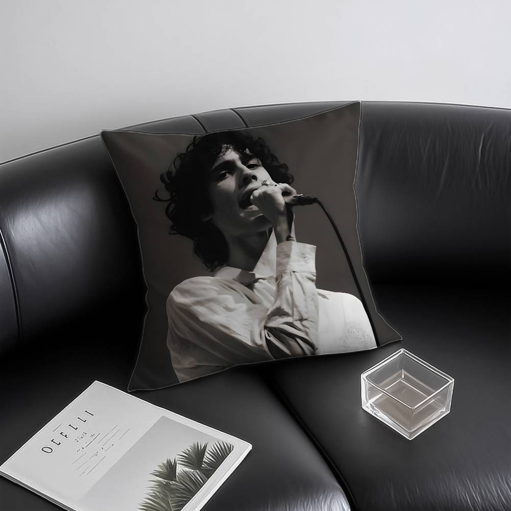 Singer S-som-brs Pillow Case Anti-dustmite Invisible zipper Sofa Bed