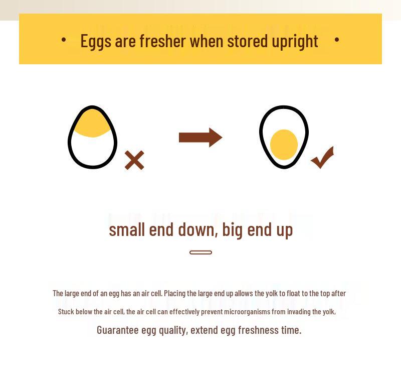 Double Layer Egg Freshness Storage Box with PET Timer - Refrigerator Drawer Style