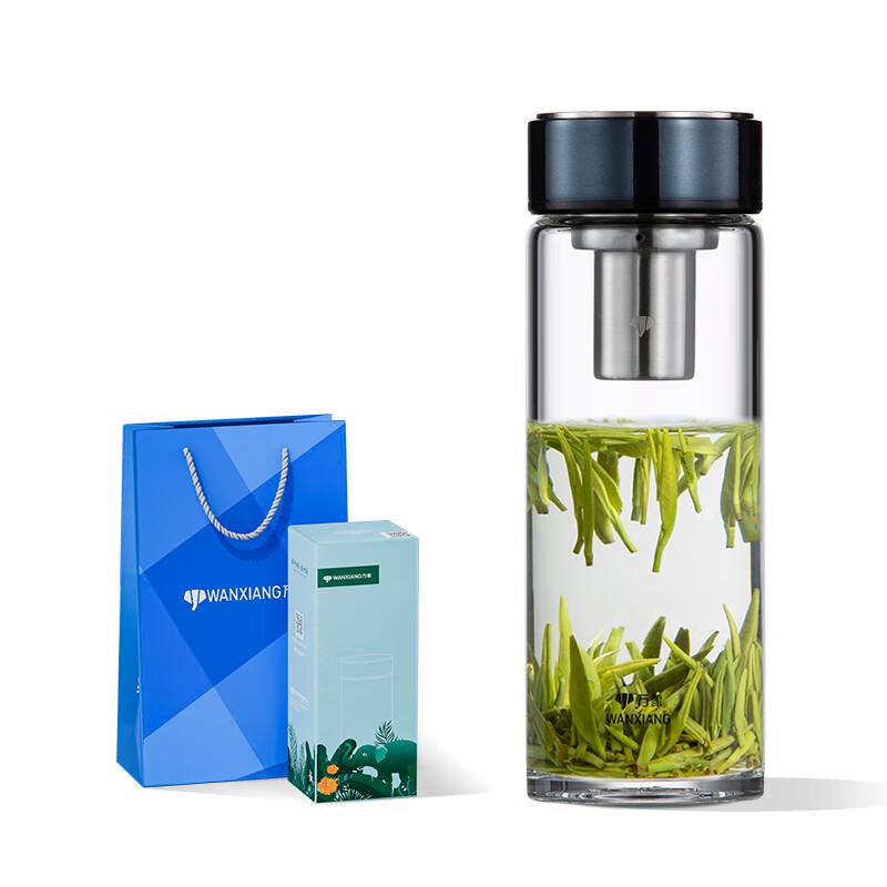 Portable Borosilicate Glass Tea Bottle with Infuser