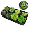 Multi-Pocket Rectangular Felt Planting Bag for Vegetables and Flowers