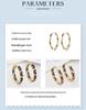Gold-Plated Leopard Print Zircon Hoop Earrings: Fashionable European & American Style Multi-Design Studs