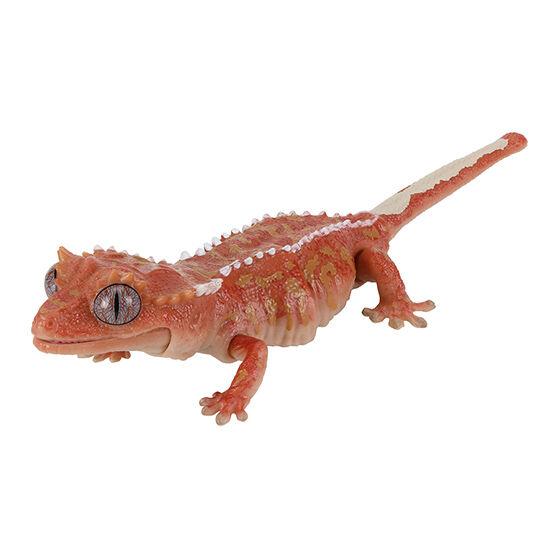 Echtes Gacha Maßstabsmodell Große Biologische Enzyklopädie Serie Reptilien Gürteltiere Wächterechsen Actionfigur Spielzeug Positionierbar Gelenkig Detailliert