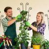 Plant Trellis Metal Plant Support Pothos Support Stakes for Indoor Outdoor Garden Balcony Pothos Monstera Ivy Clematis Gardening