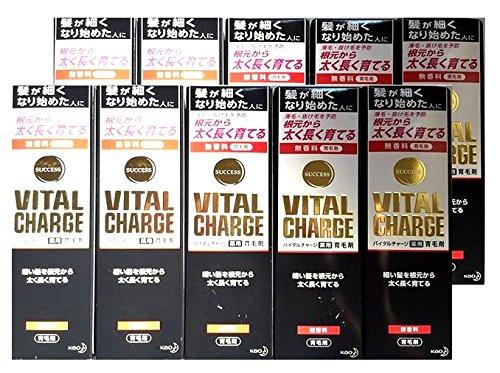 

Success Vital Charge Medicated Hair Tonic 200ml x 10 pieces set [Kao]