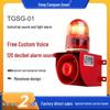 TGSG-01 Integrated Sound & Light Alarm Device (24V/220V)