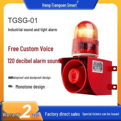 TGSG-01 Integrated Sound & Light Alarm Device (24V/220V)