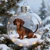 3D Animal Christmas Ball Ornament Funny Dog/Cat/Turtle Hanging Decoraton Clear Plastic Xmas Balls Ornament
