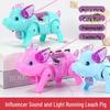 New Toy Leash: Electric Walking & Luminous Music Pig