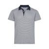 Cutter & Buck Mens Virtue Stripes Polo Shirt