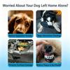 TPR Dog Chew Toy Teeth Cleaning Dog Training Ball Pet Bungee Rope Ball  for Small Medium Large Dog
