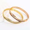 European Hot-Selling Elegant Diamond Titanium Steel Women's Bangle with Meander Pattern