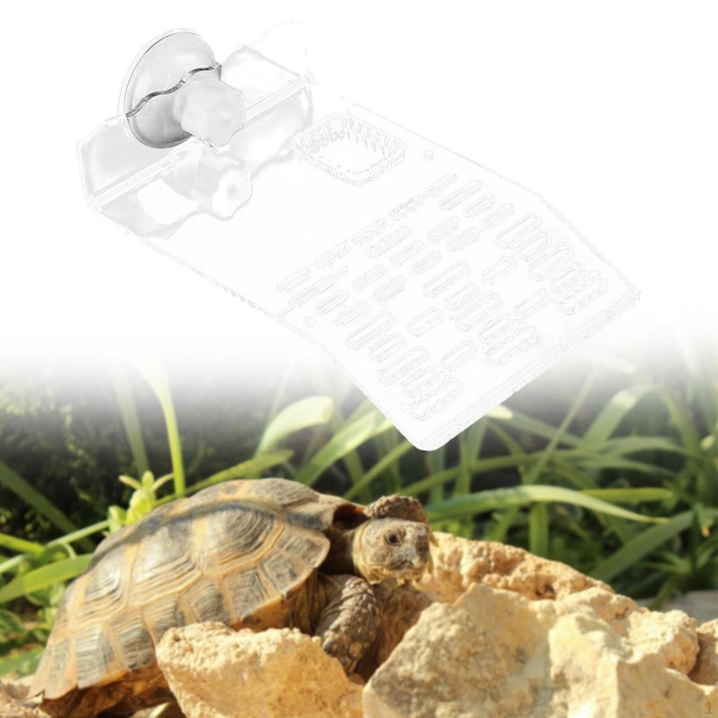 Turtle Basking Platform Acrylic Ornament Accessories Multi Purpose Reptile Resting Terrace