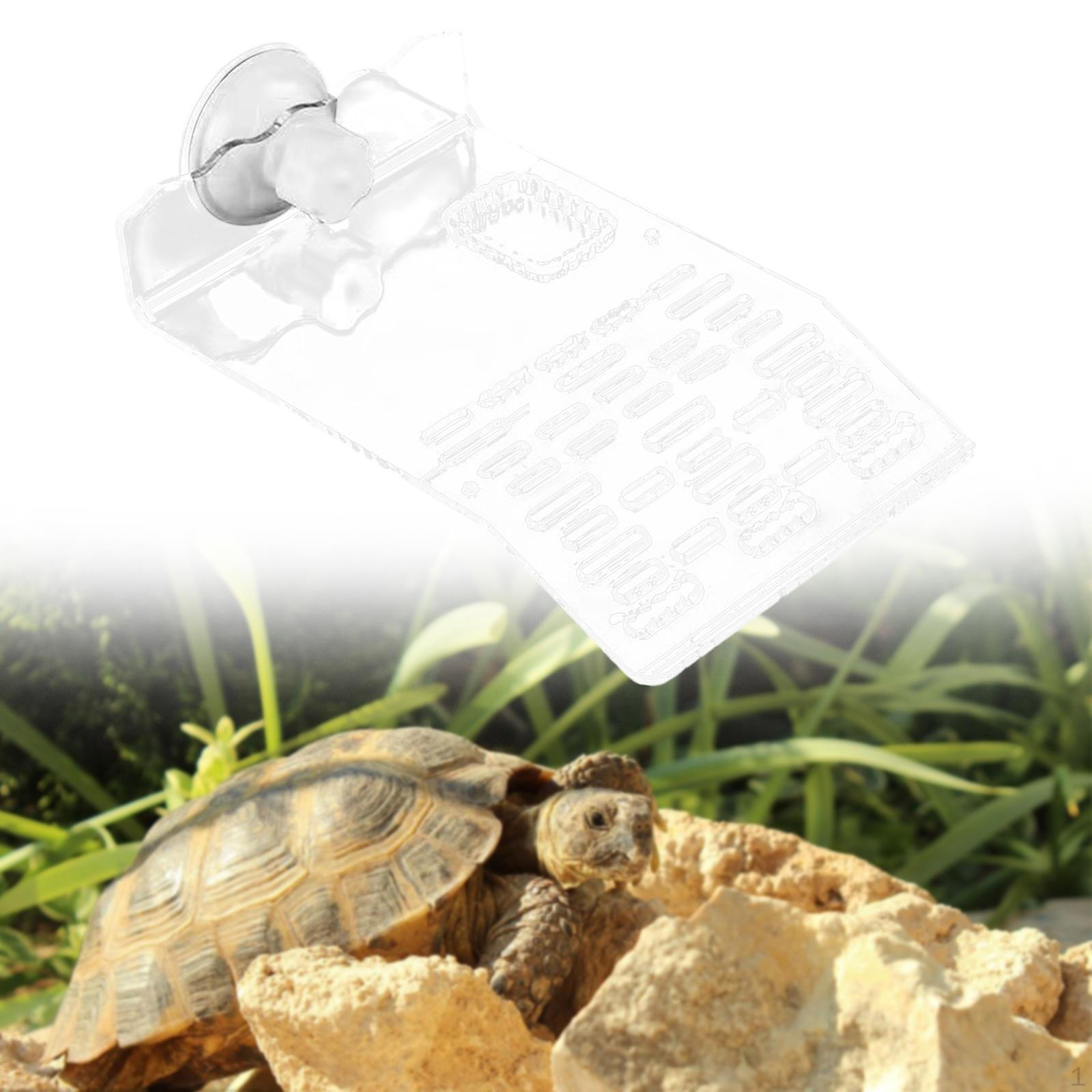 

Платформа для купания черепахи Акриловые украшения Аксессуары Многоцелевая терраса для отдыха рептилий Clear M