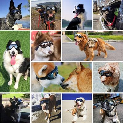 Pet Dog Goggles Waterproof, Windproof, Sunscreen, and UV Resistant Glasses