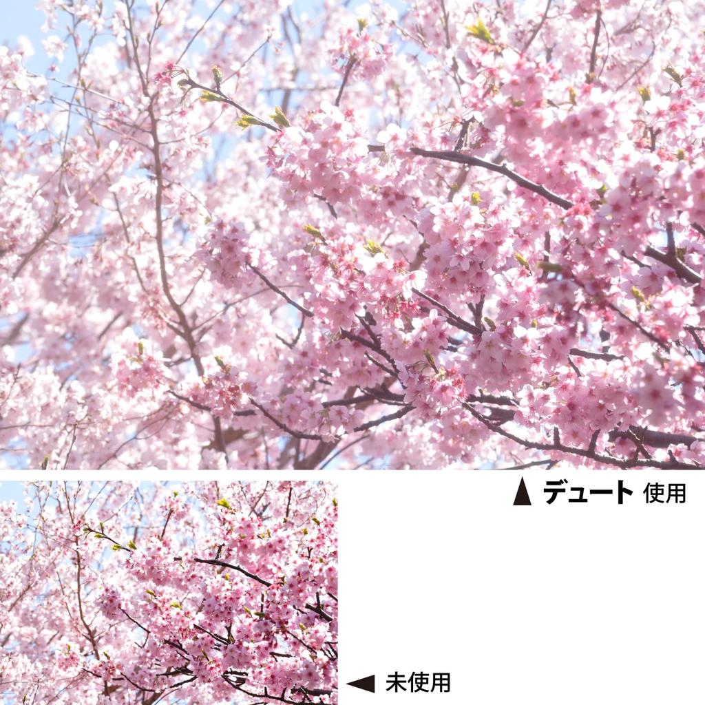 Kenko Duto 72mm Lens Filter for Soft Rendering (372319)