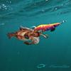 Daiwa Emeraldas Dart 2 Type SS Squid Luminous Orange Shrimp 3.5