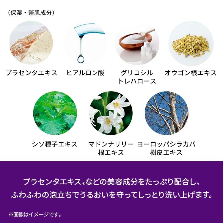 BB Laboratories Moist Skin Washing Foam 100g